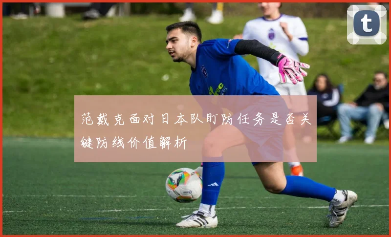 范戴克面对日本队盯防任务是否关键防线价值解析