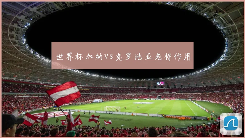 世界杯加纳vs克罗地亚老将作用