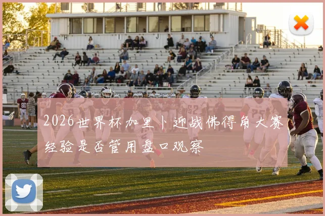 2026世界杯加里卜迎战佛得角大赛经验是否管用盘口观察
