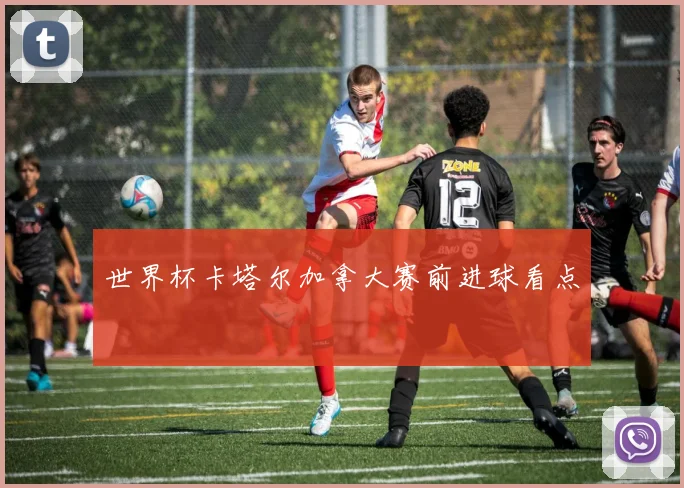 世界杯卡塔尔加拿大赛前进球看点