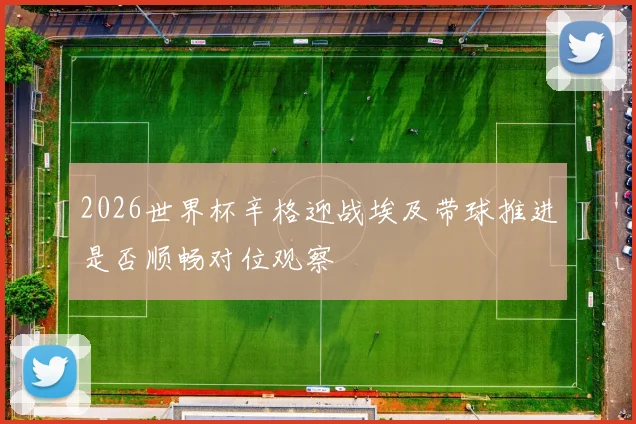 2026世界杯辛格迎战埃及带球推进是否顺畅对位观察