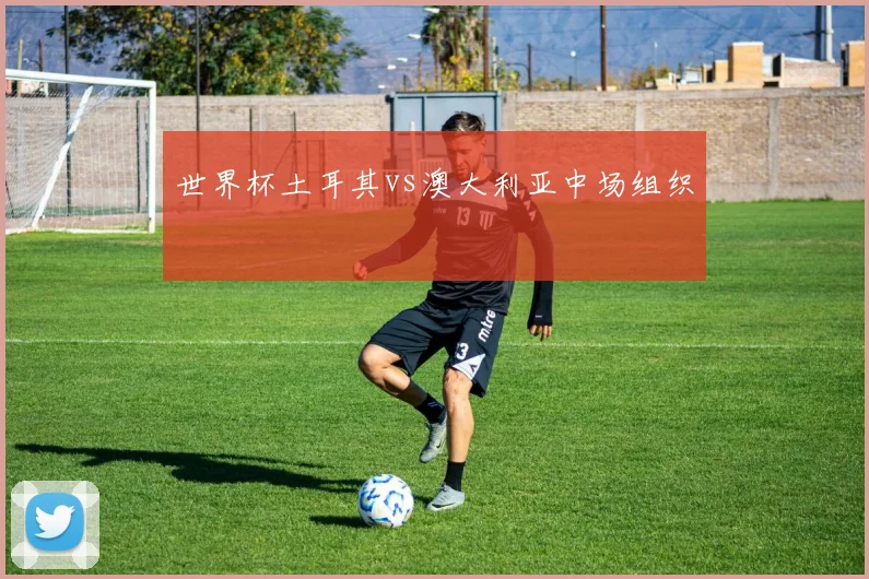 世界杯土耳其vs澳大利亚中场组织