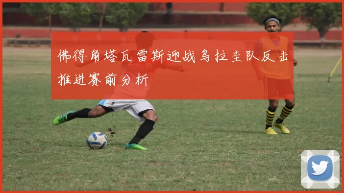 佛得角塔瓦雷斯迎战乌拉圭队反击推进赛前分析